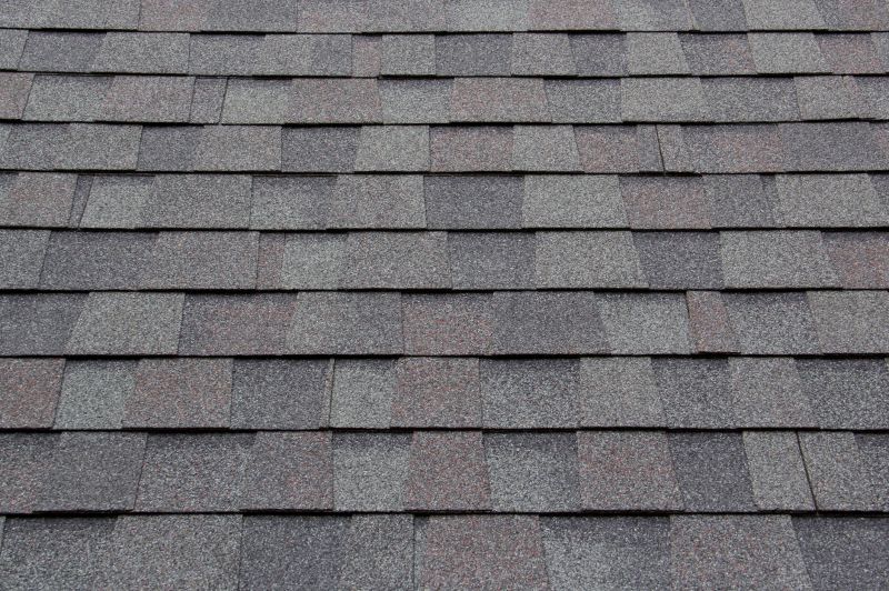 Asphalt Shingle Roof Installation Vs. Other Roofing Options