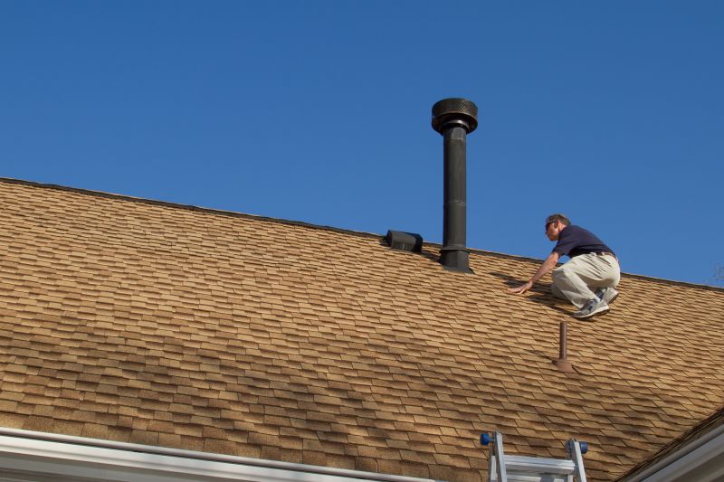 Roof Maintenance in Action