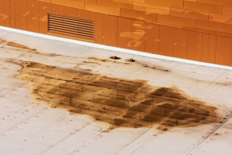 Roof Water Leak Detection